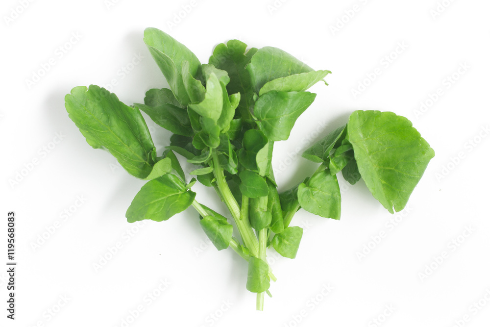 Watercress Leaves