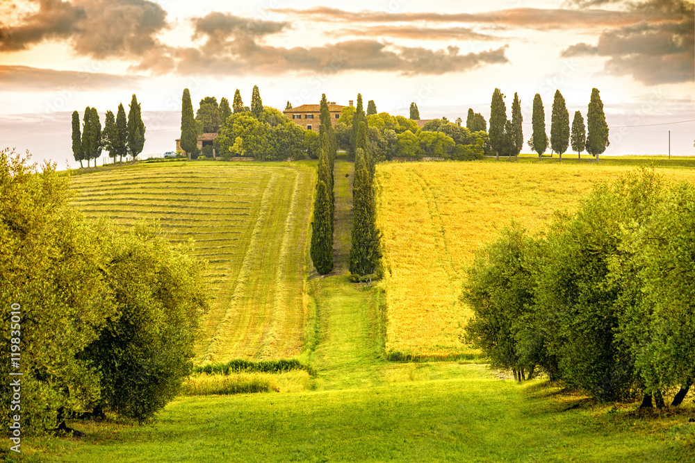 Beautiful tuscan landscape view in Val dOrcia region near Pienza town on the morning in Italy