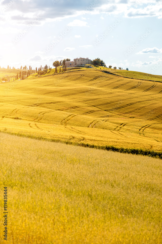 Beautiful tuscan landscape view on the green field with farmhouse near Pienza town in Italy