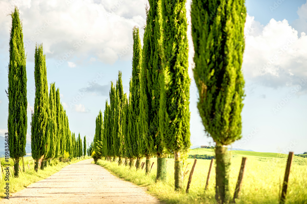 Beautiful tuscan landscape view with cypress alley in Italy