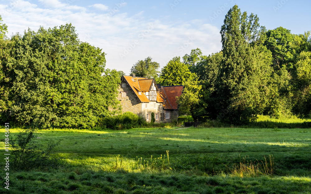 Waldlandschaft