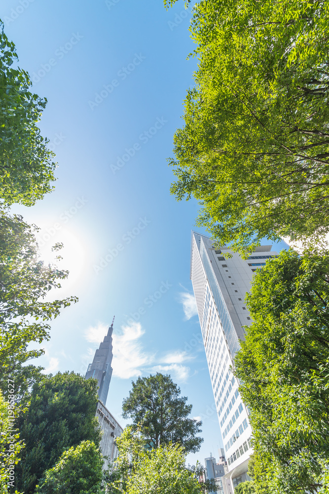 新宿高層ビル群