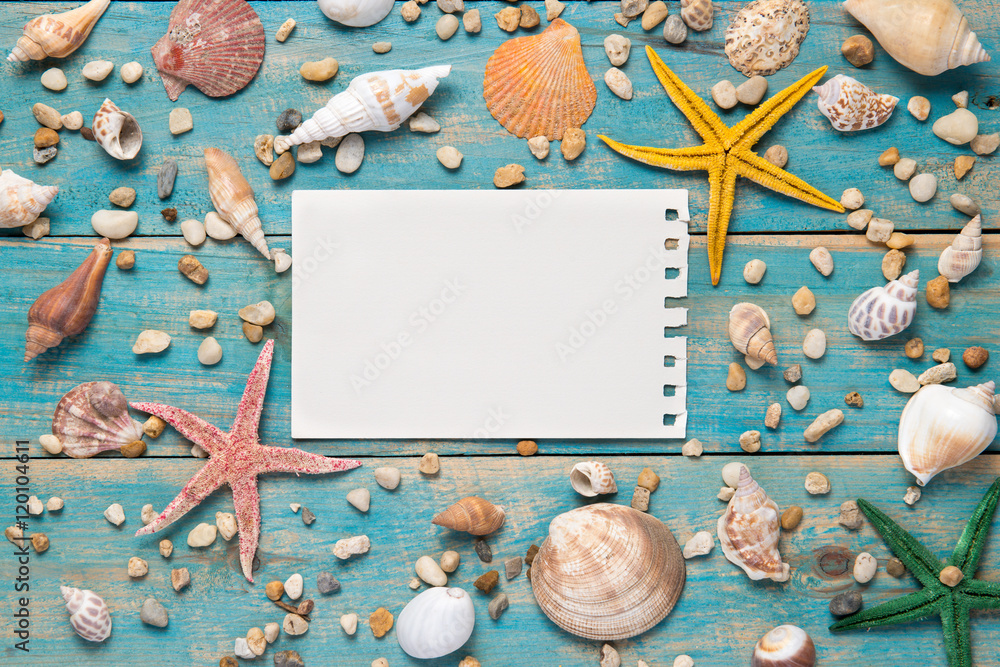 Shells and starfishes on blue wooden background. Copy space for