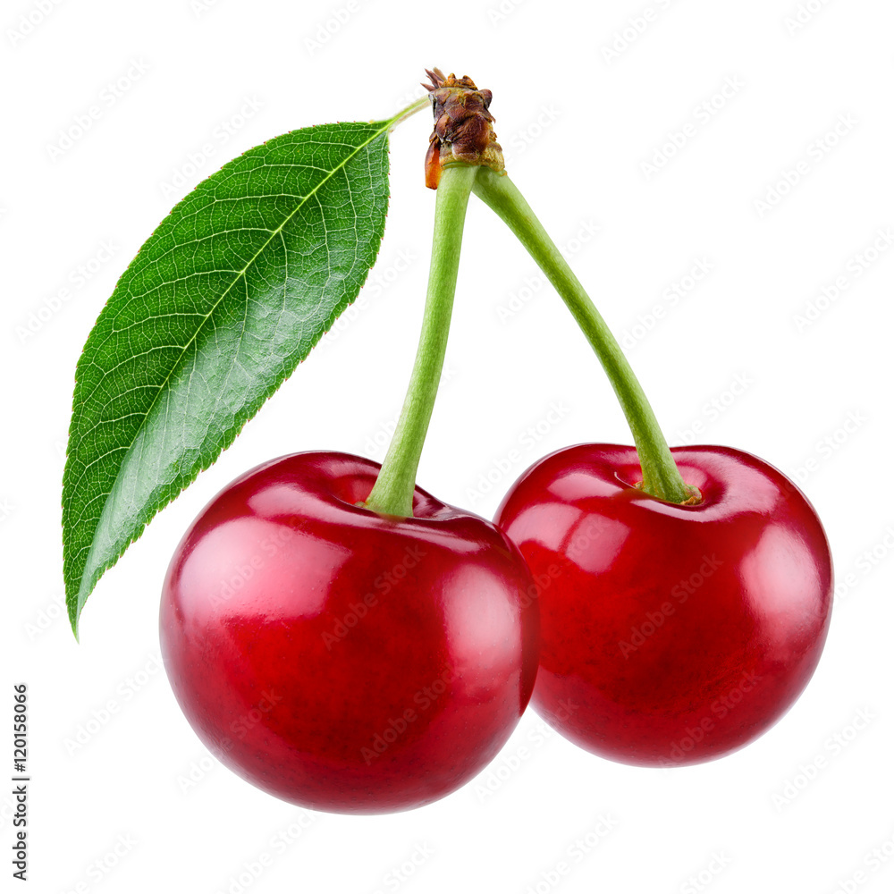 Cherry with leaf isolated on white background.