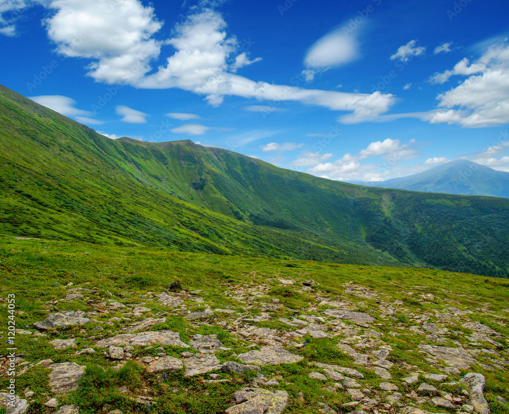 夏日山景