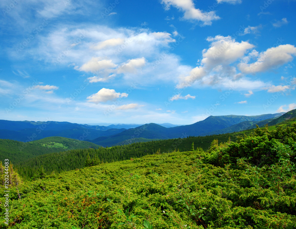 夏日山景