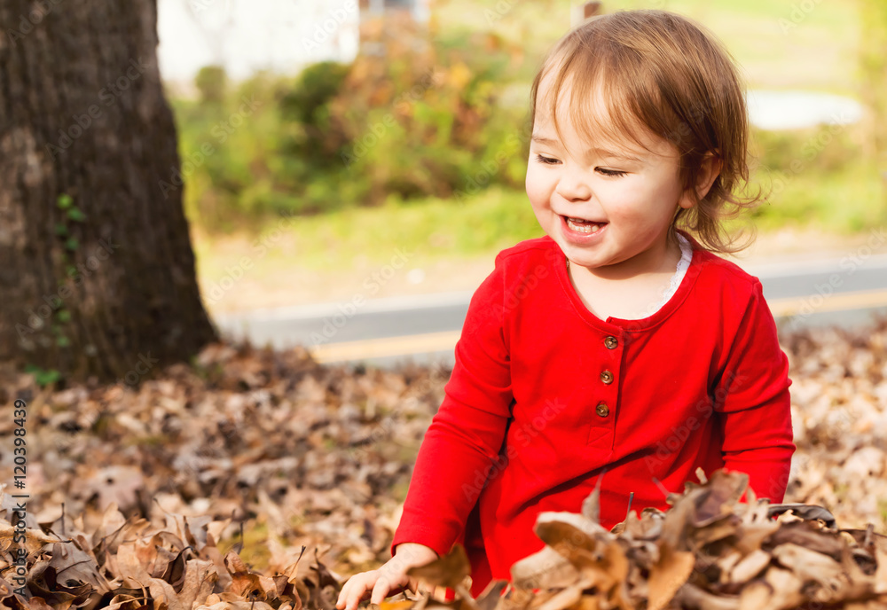 Toddler girl playing outside in fall leaves