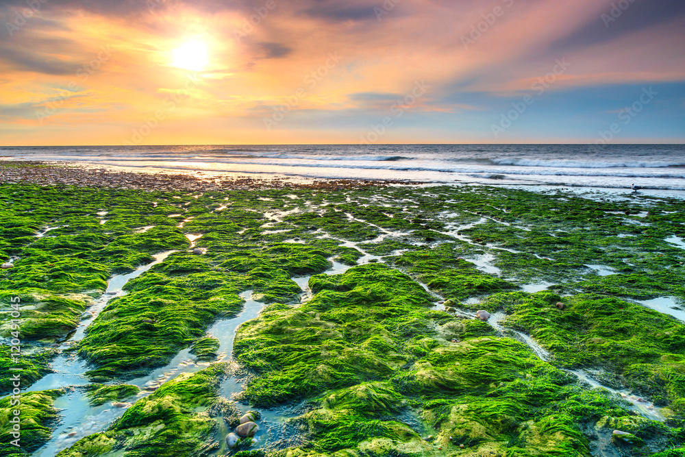 Stunning mossy beach and beautiful sunset near Etretat,Normandy,France