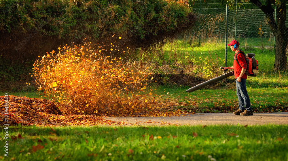 Herbstlaub wird von einem Laubbläser aufgewirbelt und leuchtet im Sonnenlicht 