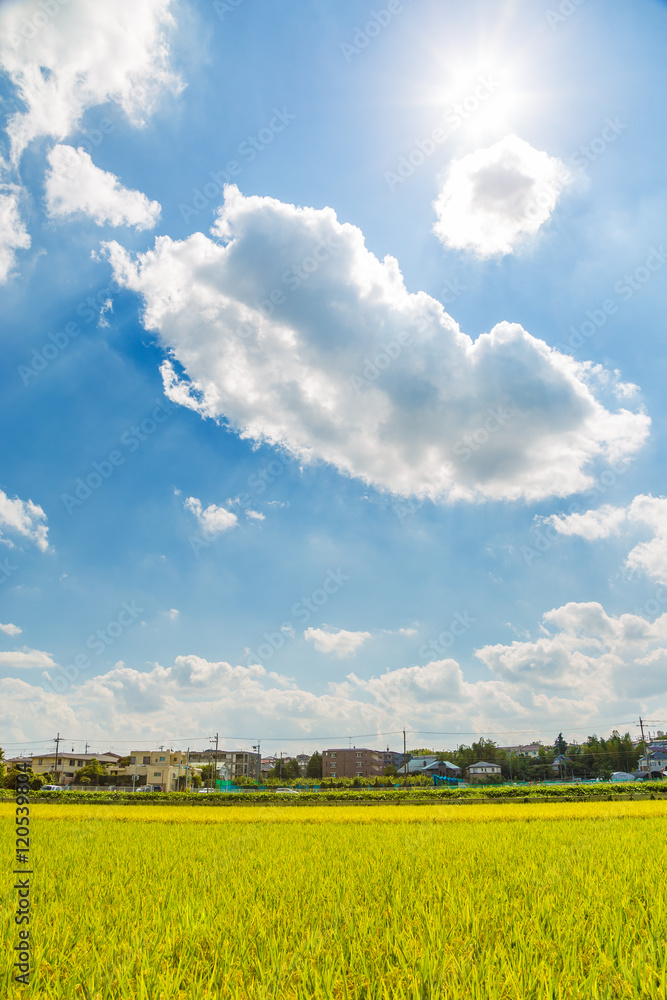 田園風景