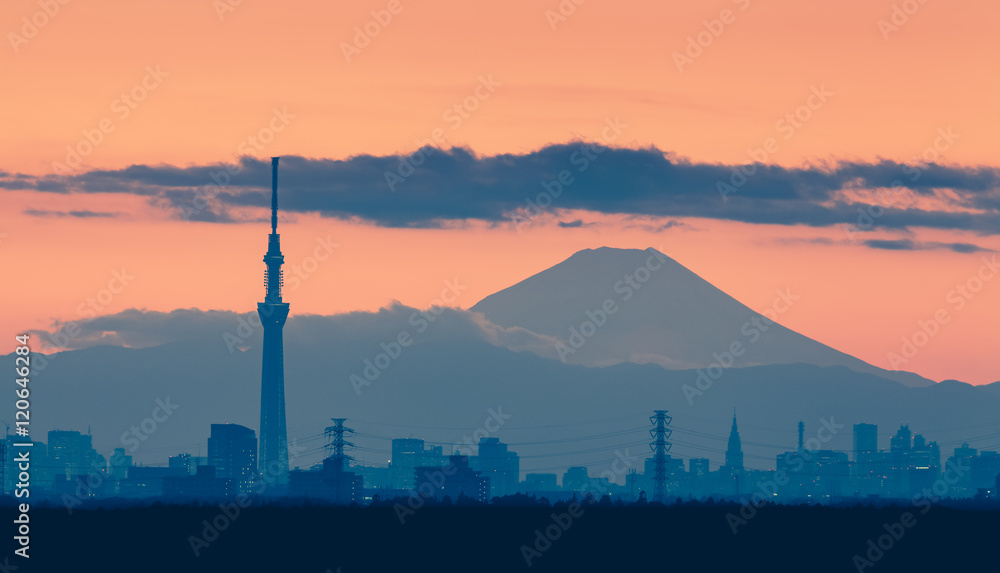 Tokyo night view with Mt.Fuji and Tokyo skytree landmark