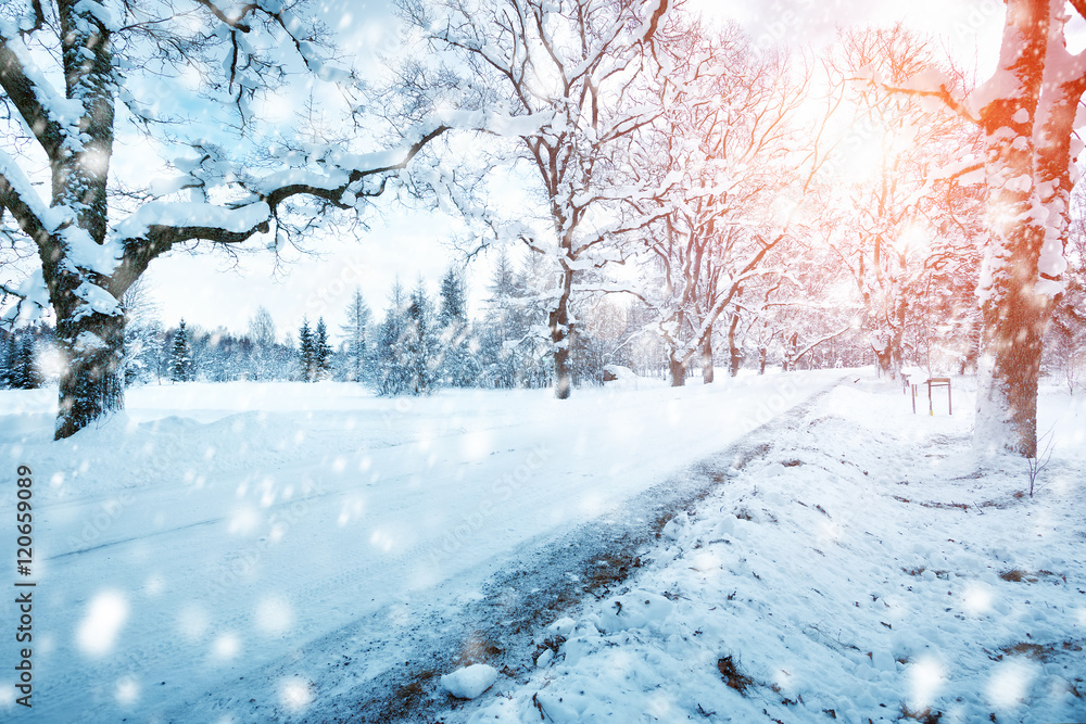 冬天的雪在穿过小巷的路上，阳光明媚