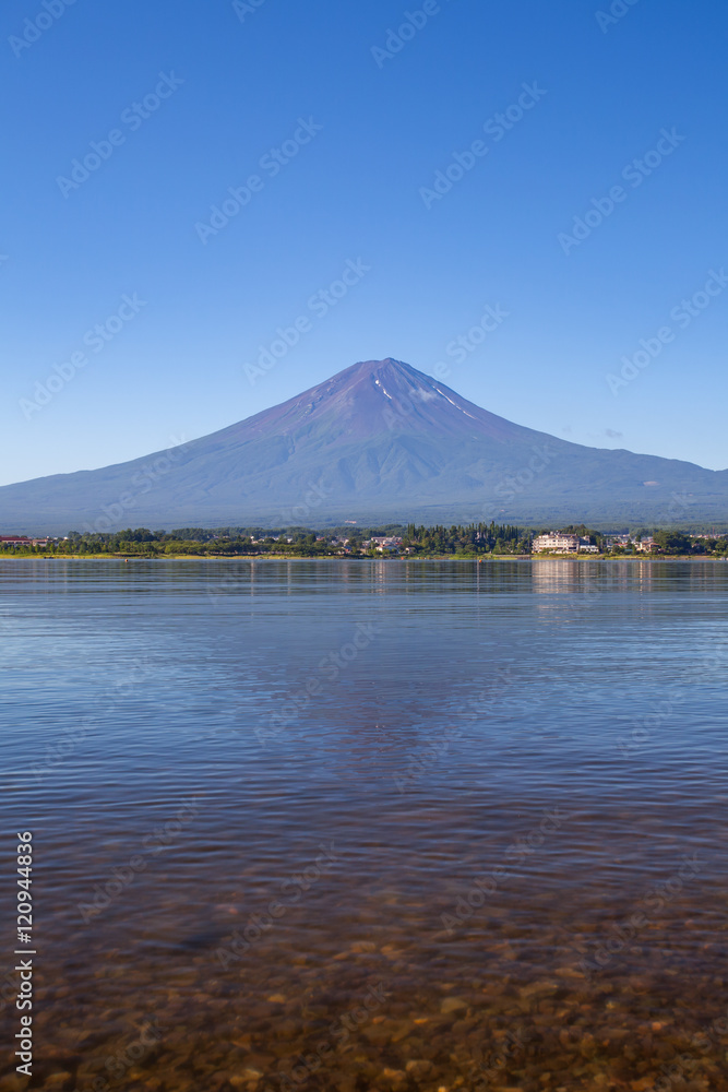 富士山全景，夏季川口湖倒影