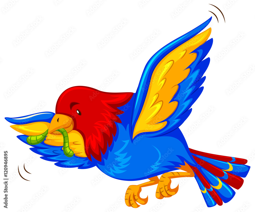 Colorful bird flying with worm in mouth