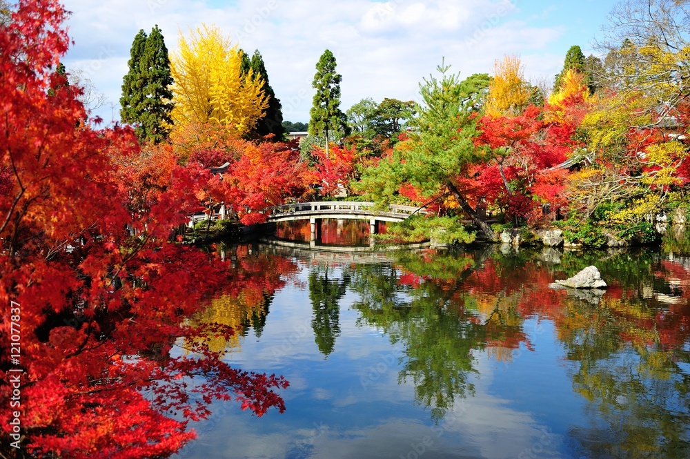 紅葉の永観堂