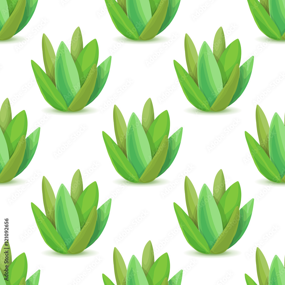 Agave - seamless pattern with desert plants. Nature floral background with green succulent leaf. Wal