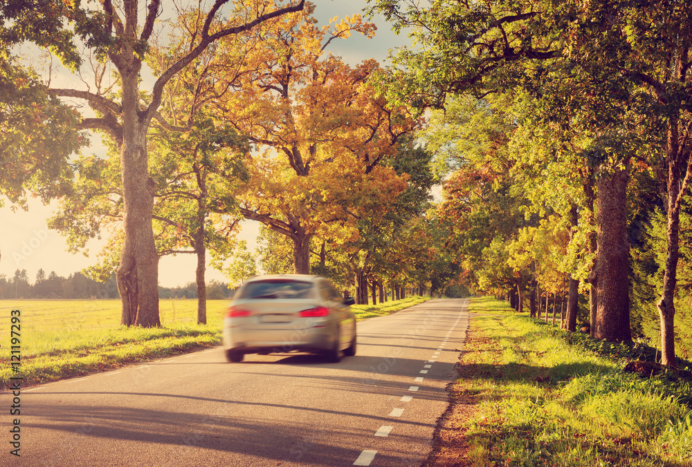 old asphalt road with beautiful trees on the sides in autumn