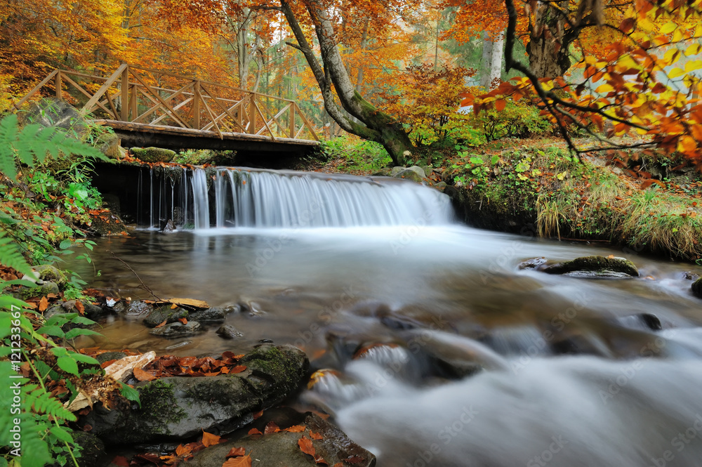 Autumn forest waterfall