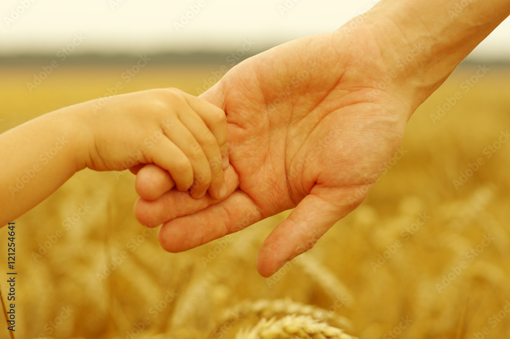 Hands of father and daughter