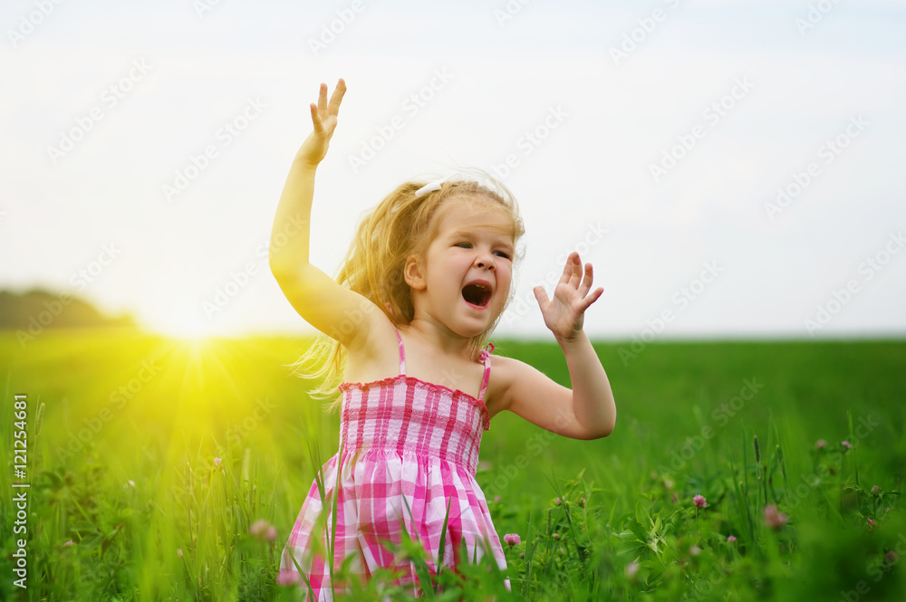  girl on the meadow