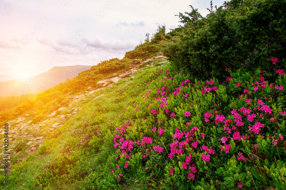  Mountain with the sun