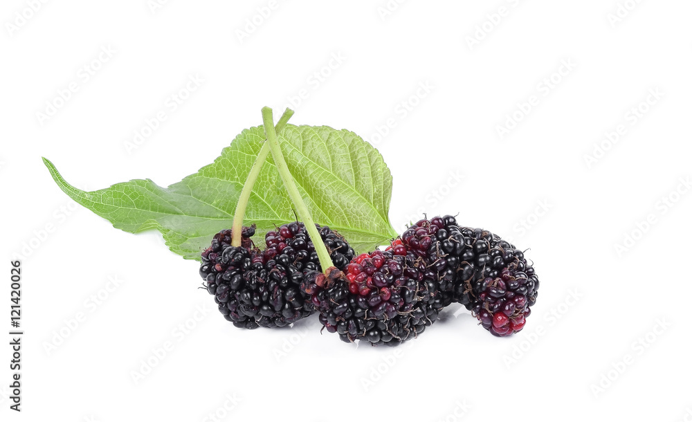 Ripe Mulberry and leaf isolated on white background.