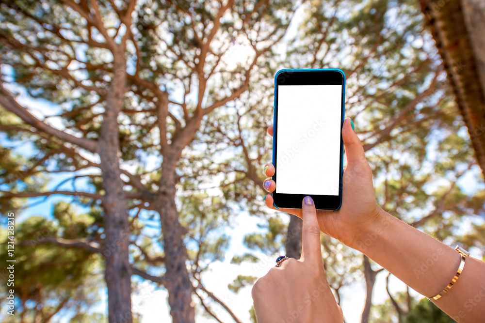 Holding smart phone with white screen to copy paste with pine trees on the backgournd in the park or