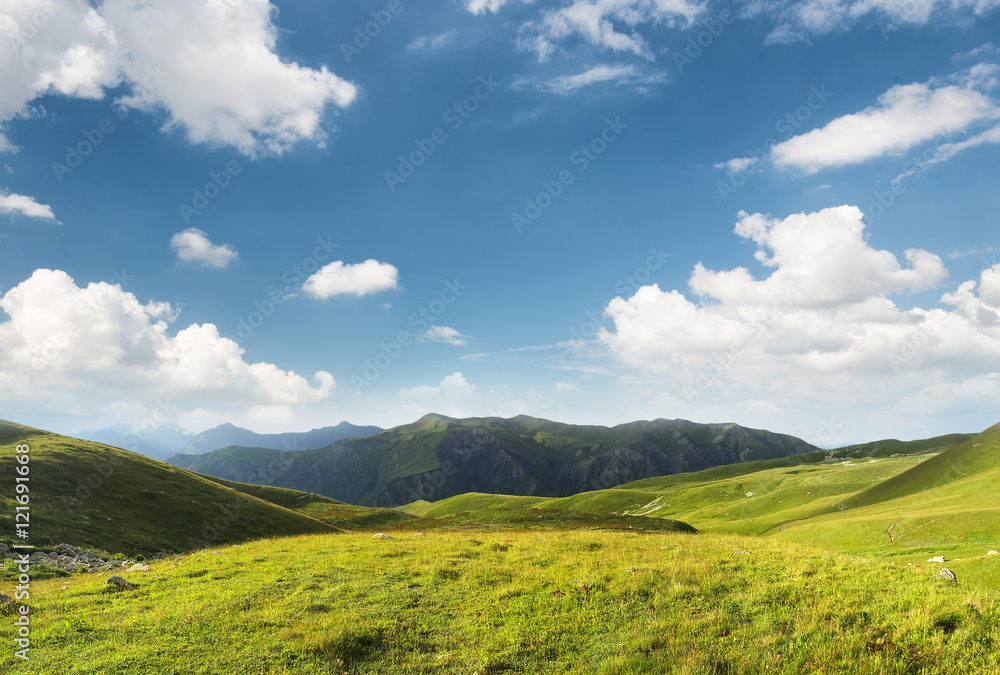 山谷中的牧场。夏季的农业景观