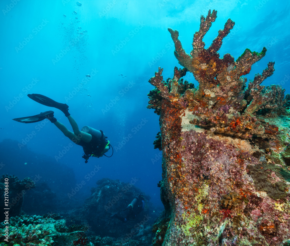 Young woman scuba diver exploring sea bottom