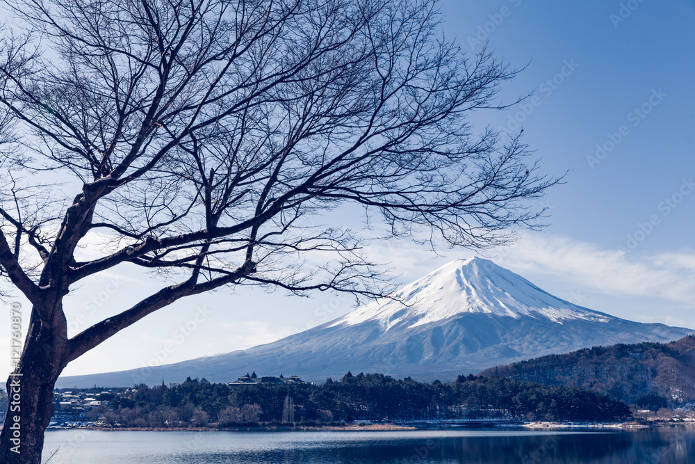 冬天川口湖的富士山