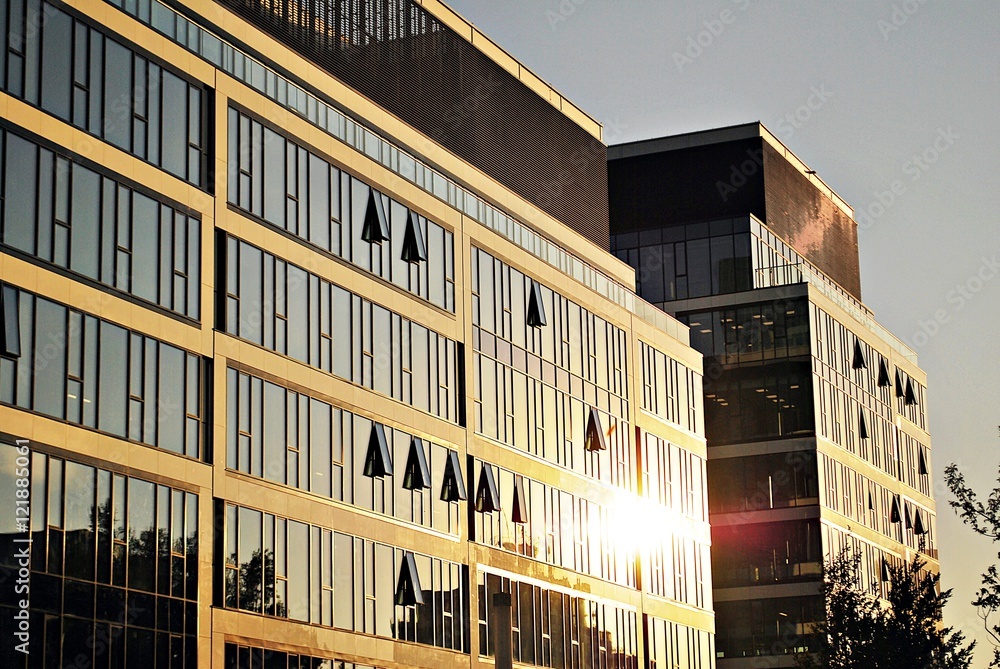 Modern glass silhouettes of skyscrapers in the city