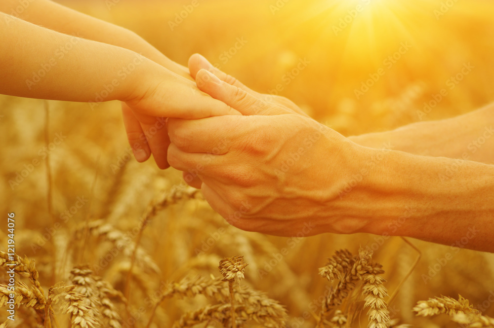 Hands of father and daughter on sun