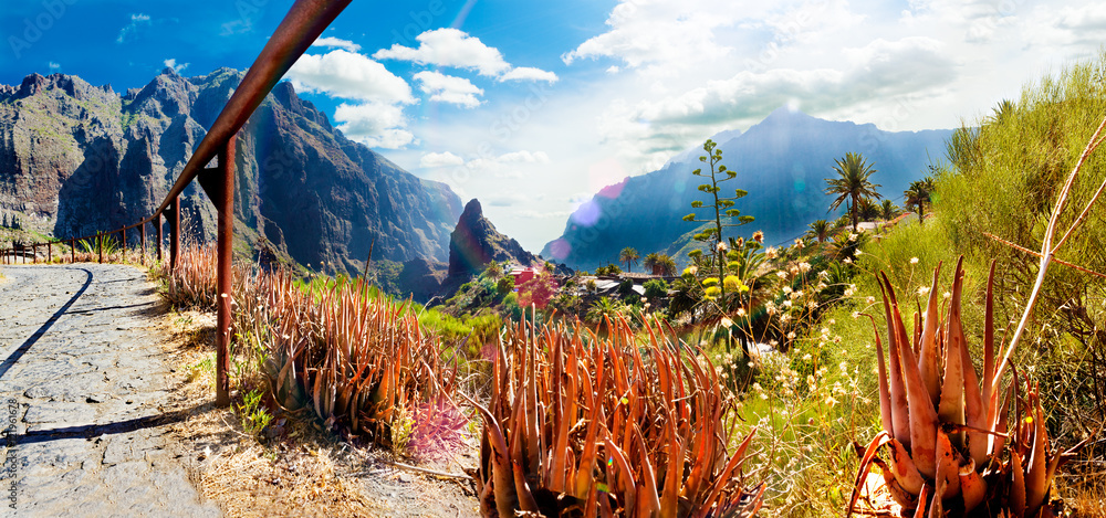 Valle de Masca.Tenerife.Islas Canarias.Paisaje espectacular y vegetación.Cactus y montañas.Panoramic