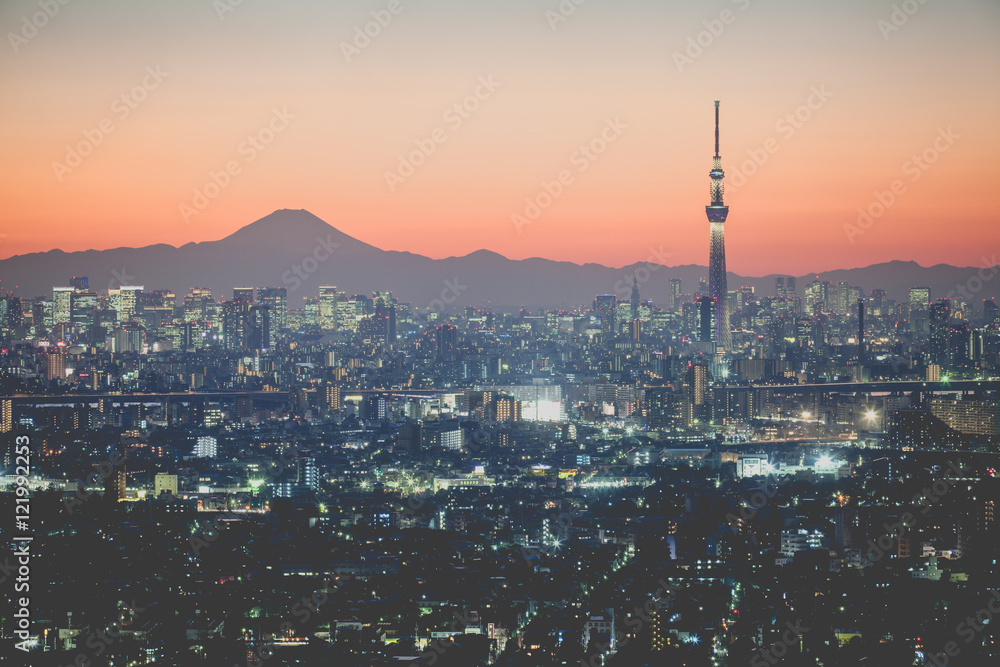 日落时的东京城市景观和富士山。