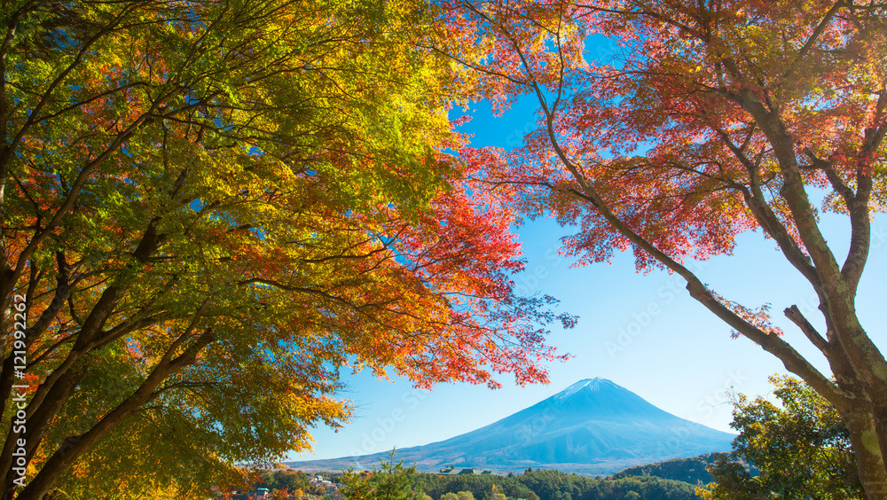 秋季河谷湖的秋树和富士山