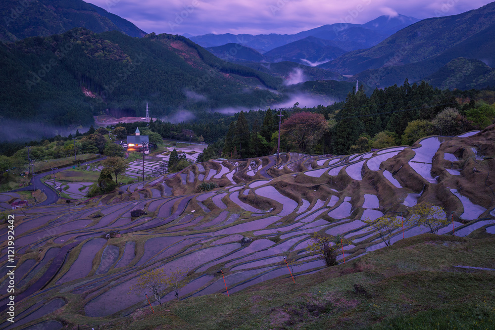 日本三重县熊野市丸山仙台梯田