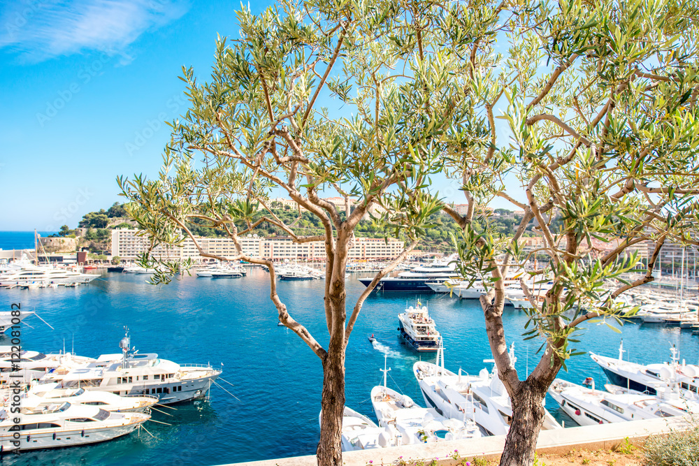 Landscape view on the bay with luxury yachts on the french riviera in Monte Carlo in Monaco. Image w