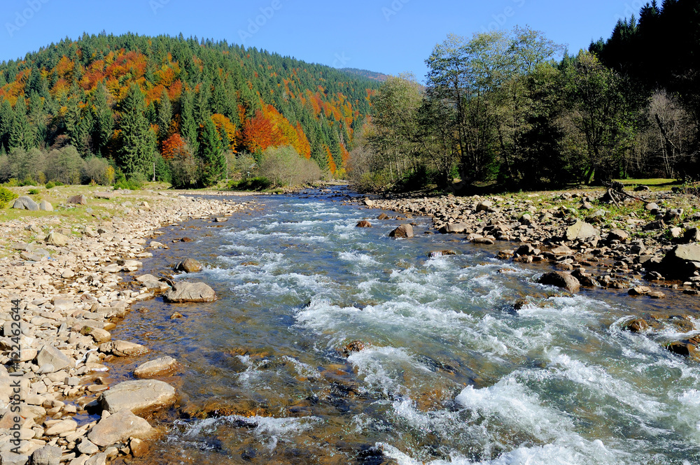 Mountains trees and river