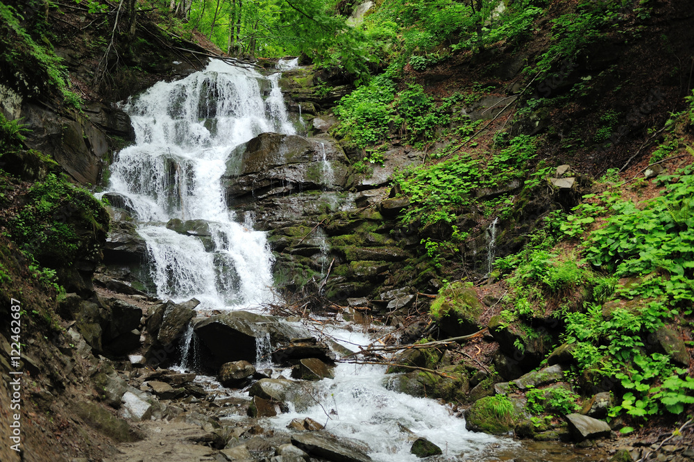 Forest waterfall and rocks