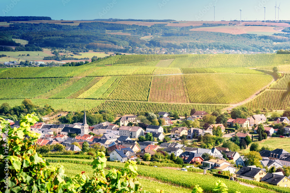 Autumn landscape with vineyards and small European town