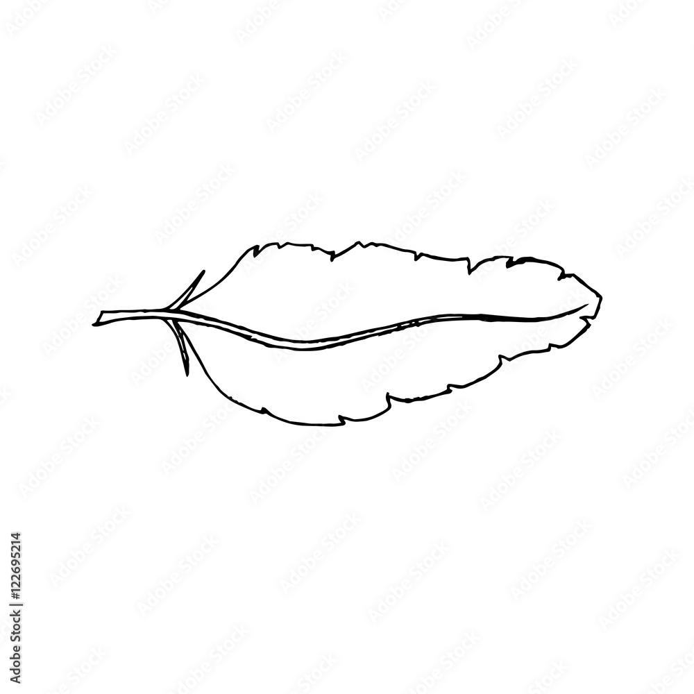 Feather doodle style contour element.