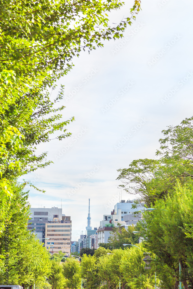 東京の空