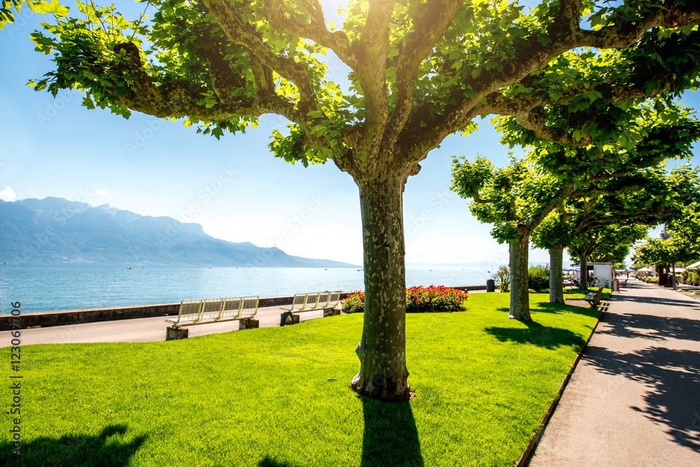 Park with beautiful trees on Geneva lake in Switzerland