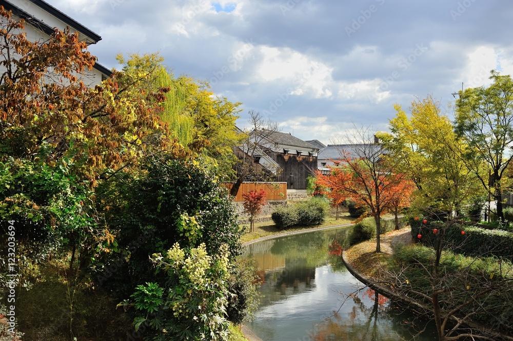 伏見の水路と紅葉