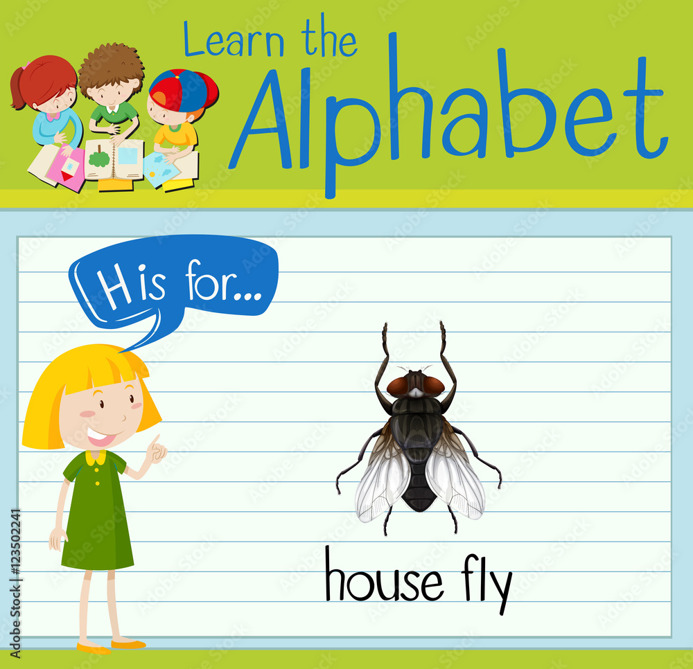 Flashcard letter H is for house fly