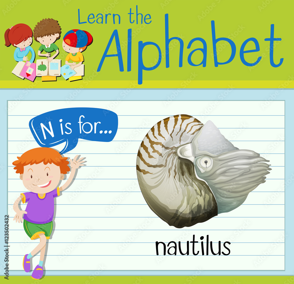 Flashcard letter N is for nautilus