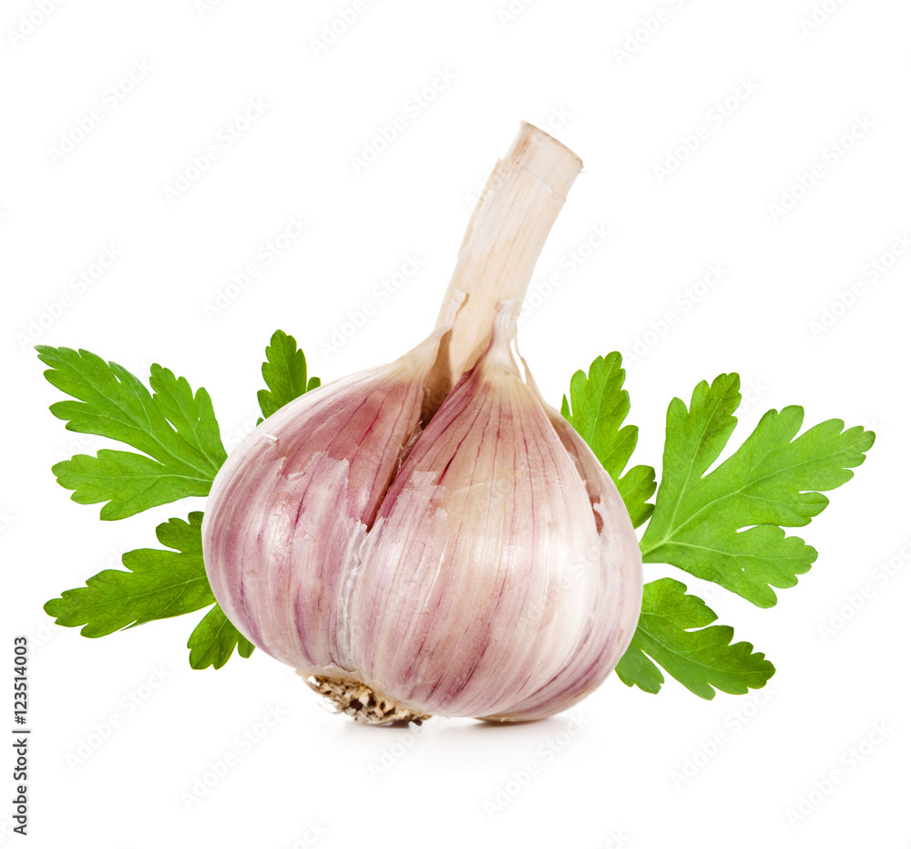 garlic isolated on white