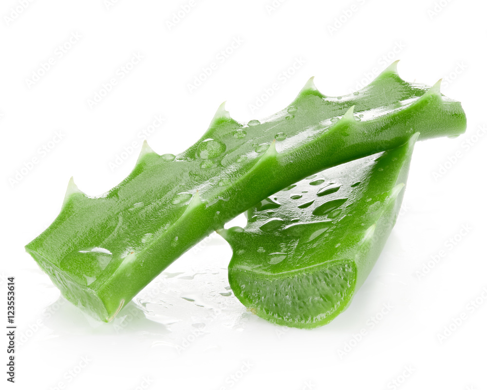 aloe isolated on white