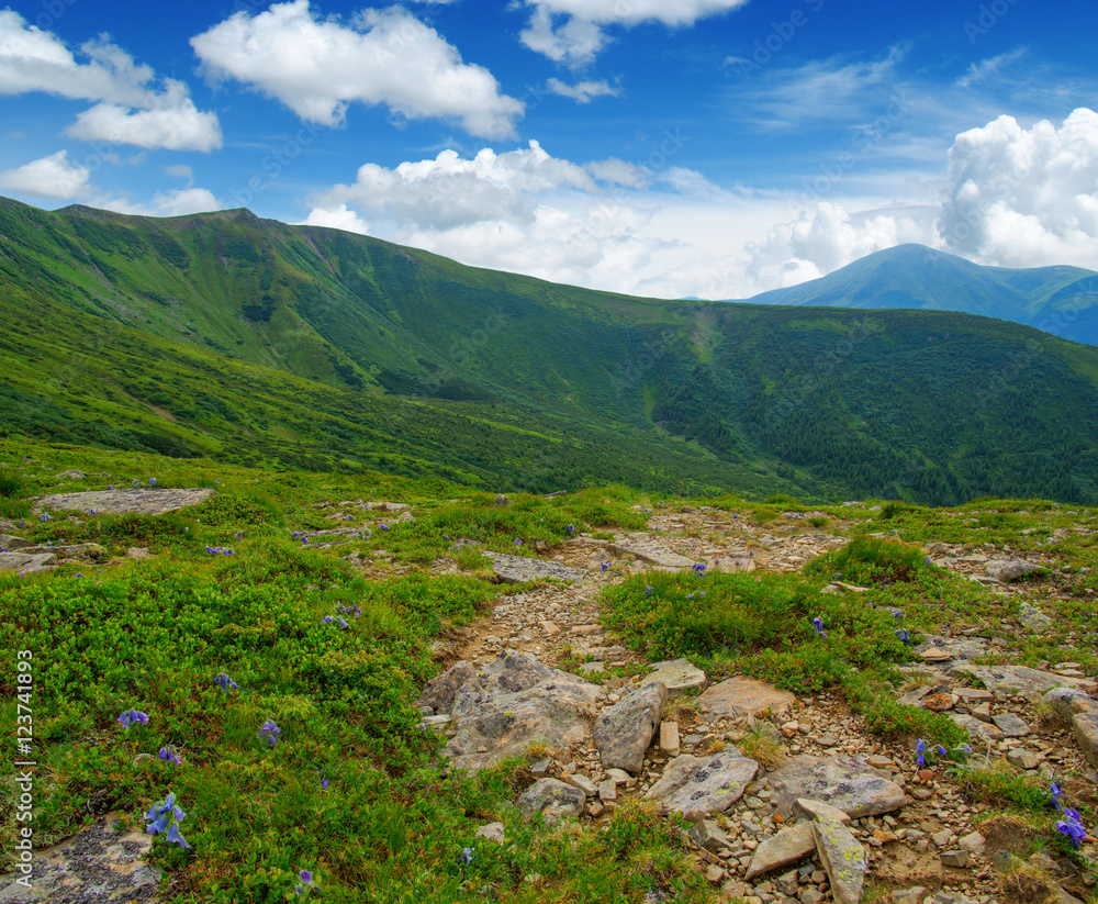 Mountain landscape in the summer