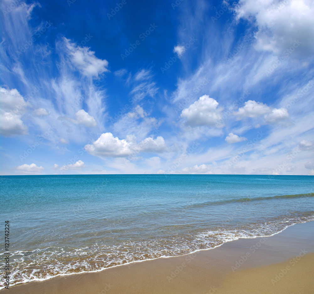 beach and sea